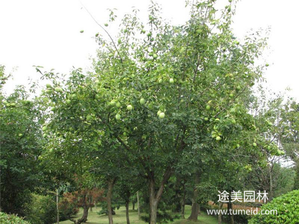 http://www.d0144.cn/ch/30.html