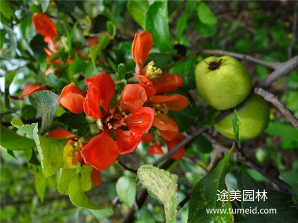 http://www.d0144.cn/ch/30.html