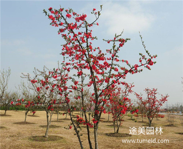 http://www.d0144.cn/ch/30.html